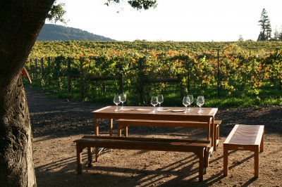 wine tasting table