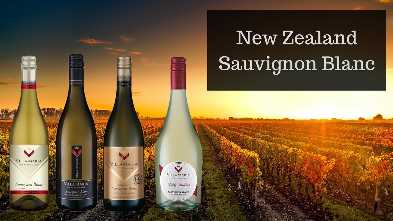 Sauvignon new zealand